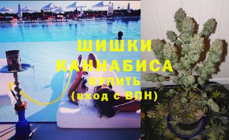 Каннабис White Widow  Верхняя Салда 